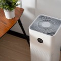 Everything You Need to Know About Air Filters for Home Use