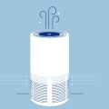 Do Air Purifiers Really Help Improve Air Quality?