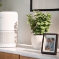 What is the Optimal Height for an Air Filter?